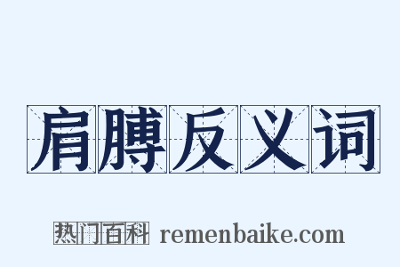 肩膊反义词是什么意思的图片
